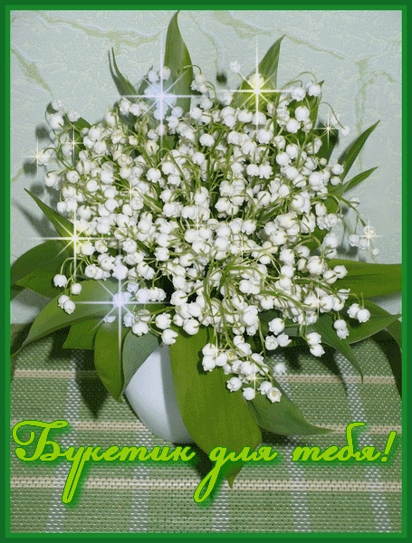 http://img1.liveinternet.ru/images/attach/c/2/72/619/72619359_buketik_dlya_tebya.gif