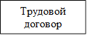 Трудовой договор