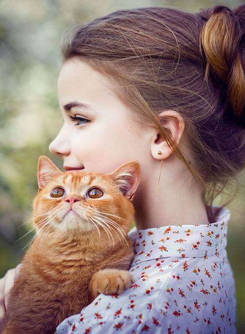 Картинки по запросу "дочь играет с кошкой"