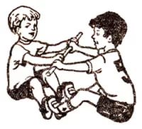 палка