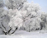 http://im6-tub-ru.yandex.net/i?id=72666-15-72&n=21