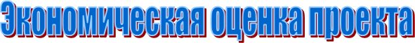 Экономическая оценка проекта