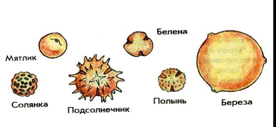 https://bigslide.ru/images/48/47890/960/img15.jpg