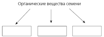 Описание: http://bio.1september.ru/2008/06/12.gif