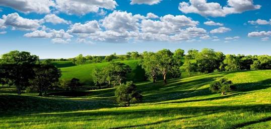 Картинки красивых летних пейзажей. 100 фото на рабочий стол