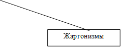 Жаргонизмы 