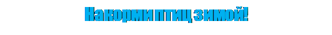 Надпись: Накорми птиц зимой!