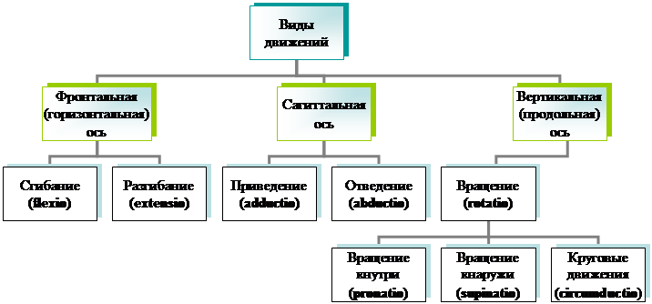 Организационная диаграмма
