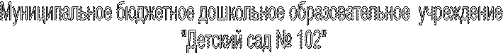 Муниципальное бюджетное дошкольное образовательное  учреждение
 "Детский сад № 102"