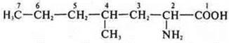 https://compendium.su/chemistry/11klas/11klas.files/image946.jpg