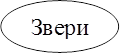 Звери