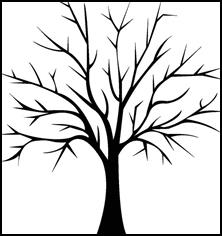 Picture background