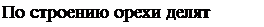 Надпись: По строению орехи делят на … . 