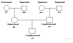 hello_html_m592edfe0.png