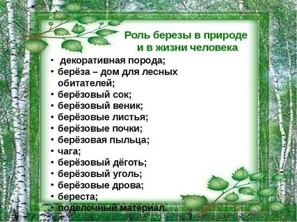 Описание презентации по отдельным слайдам 
