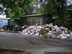 Бытовой мусор в одном из дворов Алматы. Фото предоставлено экообществом «Зеленое спасение».