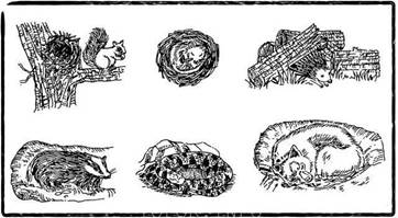 Места для спячки