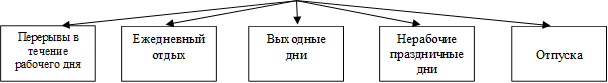 Перерывы в течение рабочего дня,Ежедневный отдых,Выходные дни,Нерабочие праздничные дни,Отпуска
