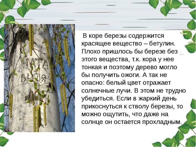 https://ds02.infourok.ru/uploads/ex/01a7/0007682e-d39a46dd/img2.jpg