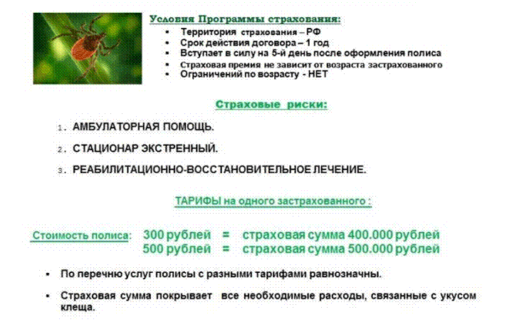 https://xn--24-9kcmfa9gb8c.xn--p1ai/wp-content/uploads/2019/01/strahovanie-ot-jencefalitnyh-kleshhej-listovka-1.png