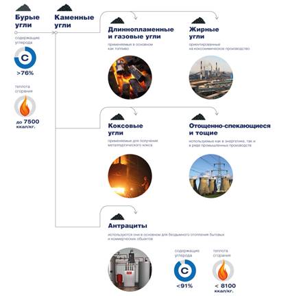каменный уголь - инфографика