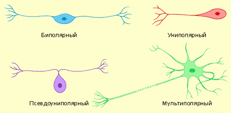 http://pochit.ru/pars_docs/refs/27/26419/26419_html_m6313fa7f.png