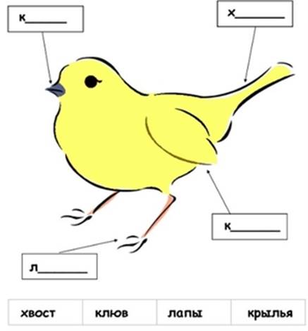 ÐšÐ°Ñ€Ñ‚Ð¸Ð½ÐºÐ¸ Ð¿Ð¾ Ð·Ð°Ð¿Ñ€Ð¾ÑÑƒ Ð·Ð°Ð´Ð°Ð½Ð¸Ñ Ð½Ð° Ñ‚ÐµÐ¼Ñƒ ÐºÑ‚Ð¾ Ñ‚Ð°ÐºÐ¸Ðµ Ð¿Ñ‚Ð¸Ñ†Ñ‹