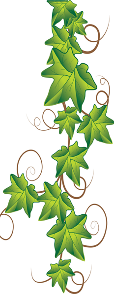 ivy-free-images-at-clkercom-vector-clip-art-online-royalty-164416.png