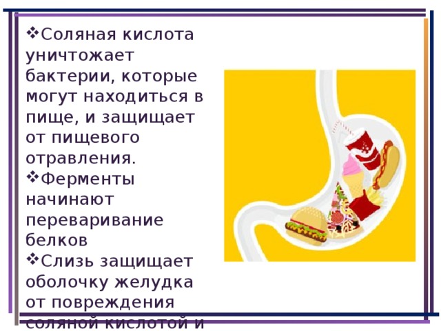 Соляная кислота уничтожает бактерии, которые могут находиться в пище, и защищает от пищевого отравления. Ферменты начинают переваривание белков Слизь защищает оболочку желудка от повреждения соляной кислотой и ферментами
