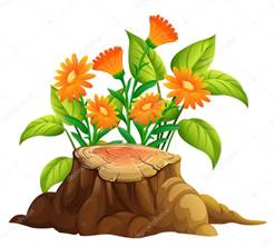 https://st4.depositphotos.com/1526816/29289/v/950/depositphotos_292894842-stock-illustration-flowers-and-stump-wood-on.jpg