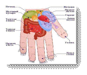 http://pionnier.gorod.tomsk.ru/uploads/2169/1239634293/s_02_1.jpg