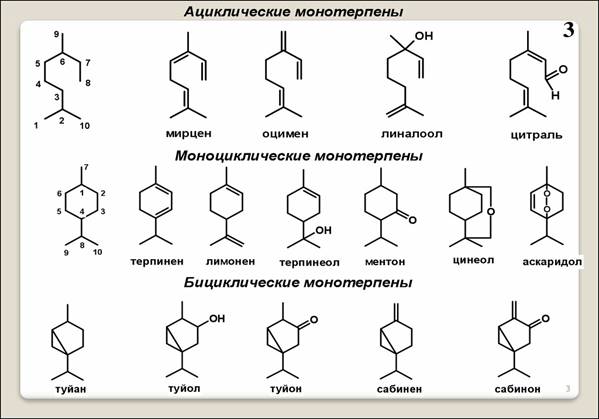 Лекарственные вещества из группы терпенов. Общая характеристика ...