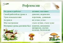 https://ds03.infourok.ru/uploads/ex/1132/00036c91-e700cb33/640/img20.jpg