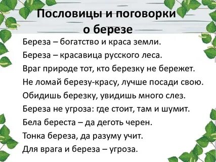 Пословицы и поговорки о березе. 