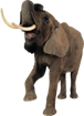 https://fsd.multiurok.ru/html/2017/06/10/s_593c20c106f0f/645835_17.png