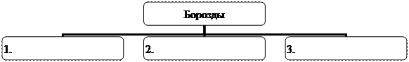 Организационная диаграмма