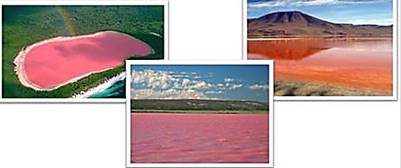 https://fsd.videouroki.net/products/conspekty/himia8/26-soli.files/image003.jpg