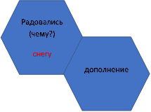 Радовались (чему?)
снегу
,дополнение