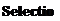 Text Box: Selection 