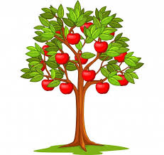 Описание: C:\Users\мв\Desktop\WhatsApp Image 2025-06-24 at 14.19.46.jpeg