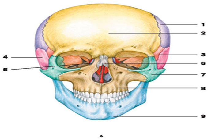 https://documents.infourok.ru/882246f8-ddad-45a1-92e5-c1375ef37ac7/0/image001.png