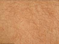 human_skin_hairs_2090294