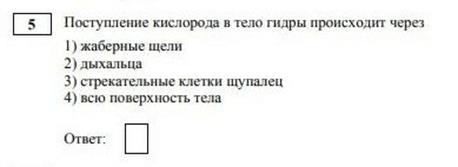 https://storage.yandexcloud.net/maximumtest-blog/uploads/2020/09/image-28.png