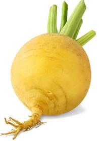 http://findfood.ru/attaches/product/ovoshi/repa.jpg