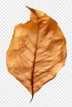 https://avatars.mds.yandex.net/i?id=3c9850364e0c214d50c33da33a8946855a4f4271-5210586-images-thumbs&n=13