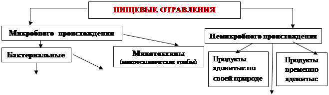 Надпись: Микотоксины
(микроскопические грибы)

,Надпись: Продукты ядовитые по своей природе,Надпись: Продукты временно ядовитые