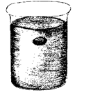 http://doc4web.ru/uploads/files/25/24147/hello_html_6119fcf1.png