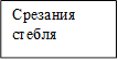 Срезания стебля