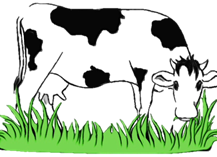 https://img2.freepng.ru/20190915/faq/transparent-bovine-grass-green-dairy-cow-clip-art-5d7e5121dc10d1.6214564015685593939014.jpg