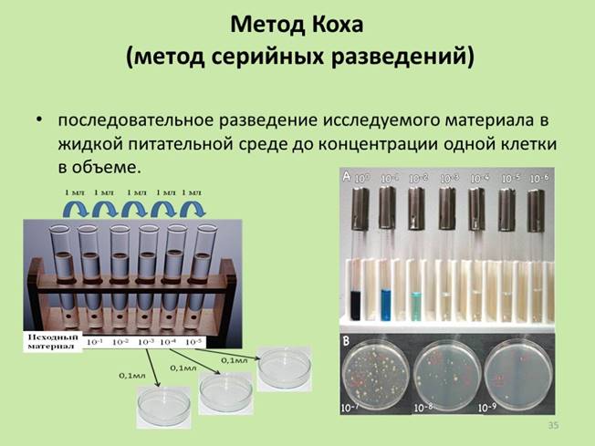 Презентация "Методы и техники посевов микроорганизмов" по медицине –  скачать проект